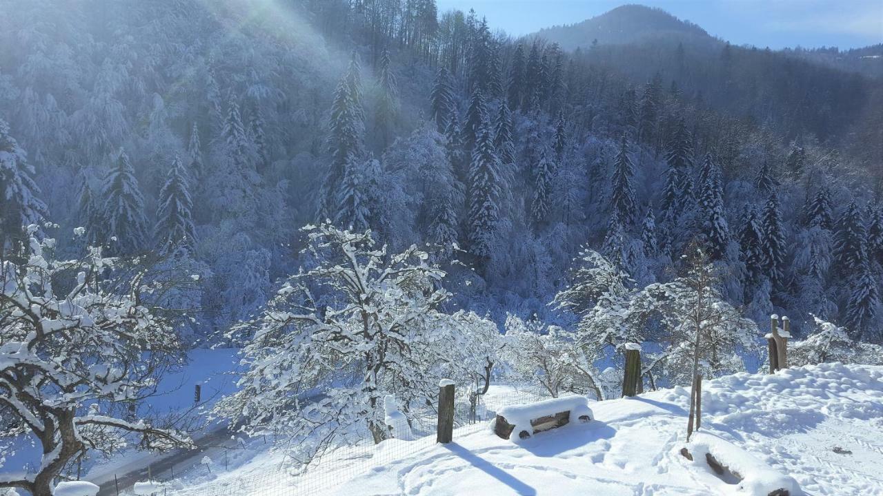 Villa Turistična kmetija Weiss Miklavz pri Taboru Exterior foto