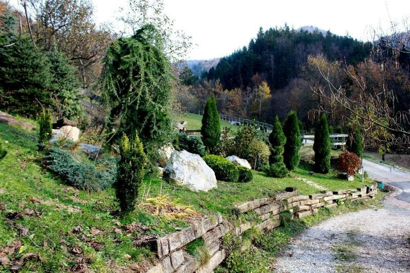 Villa Turistična kmetija Weiss Miklavz pri Taboru Exterior foto