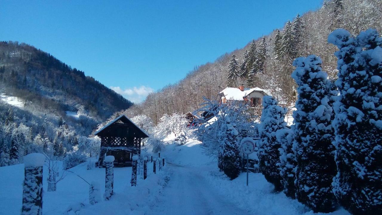 Villa Turistična kmetija Weiss Miklavz pri Taboru Exterior foto