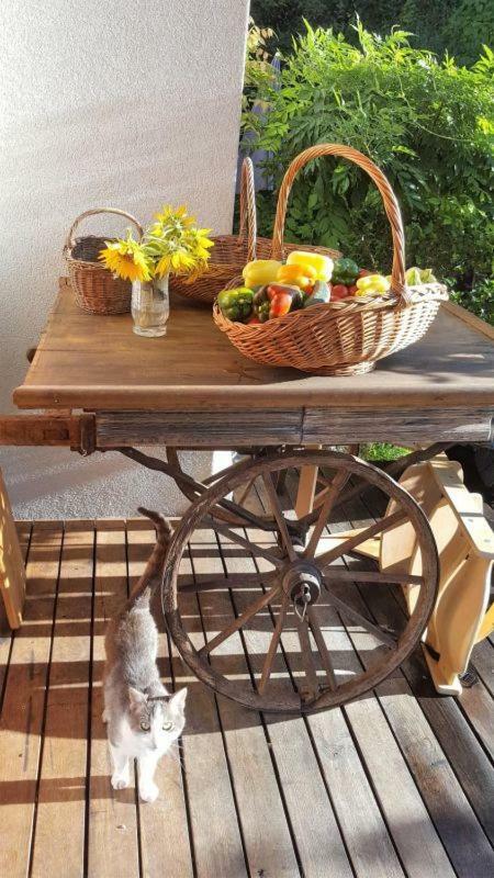 Villa Turistična kmetija Weiss Miklavz pri Taboru Exterior foto